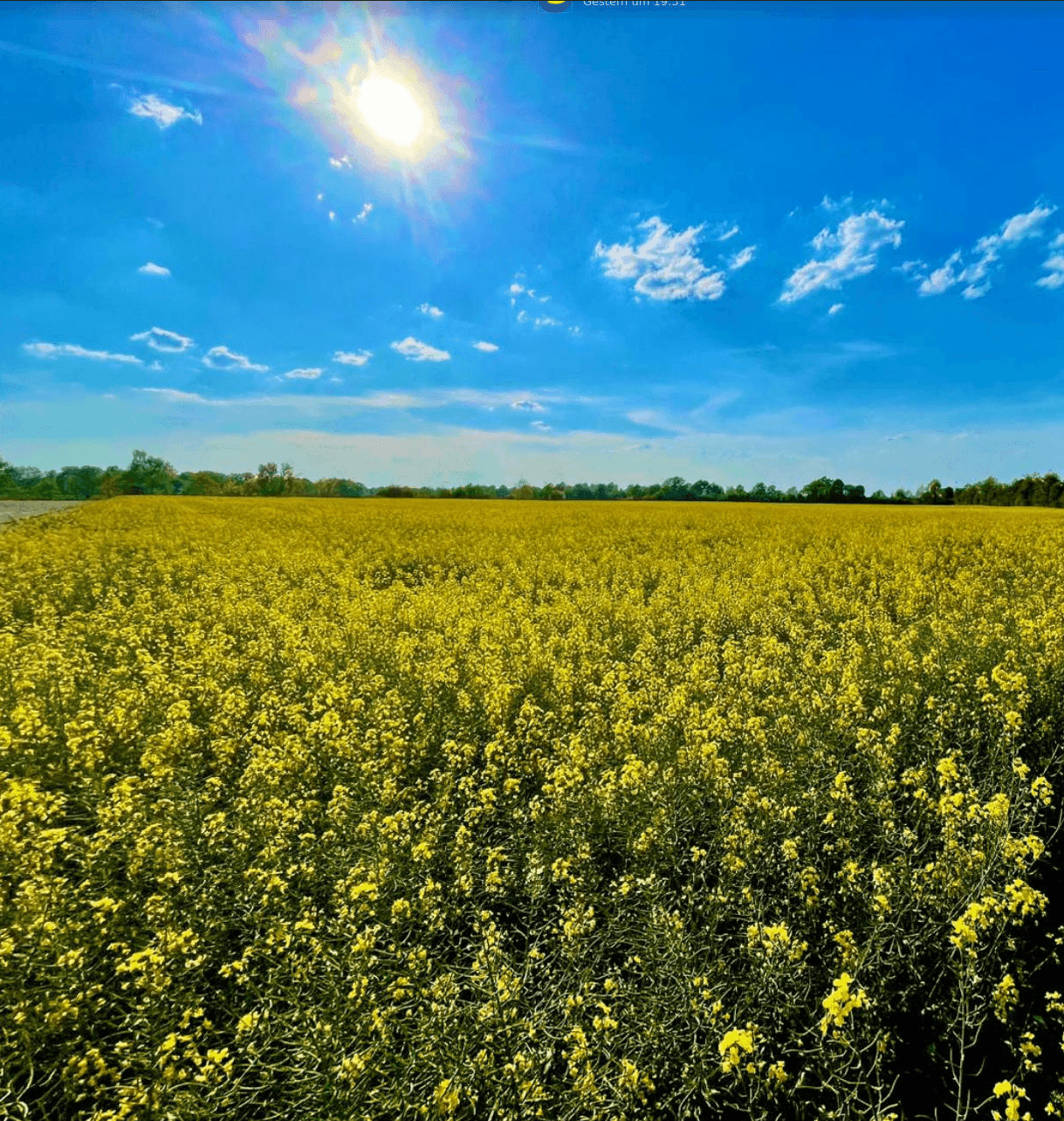 Screenshot From 2025-09-05 15-38-07